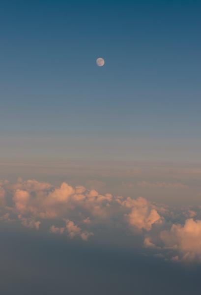 Author: Joao Delille