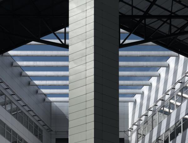 Author: Joao Delille