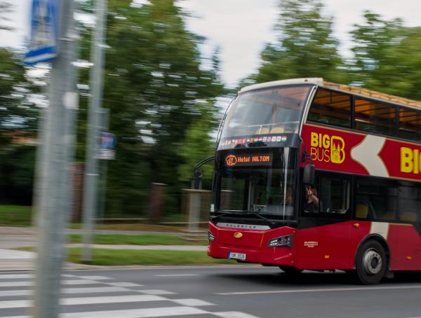 Author: Joao Delille