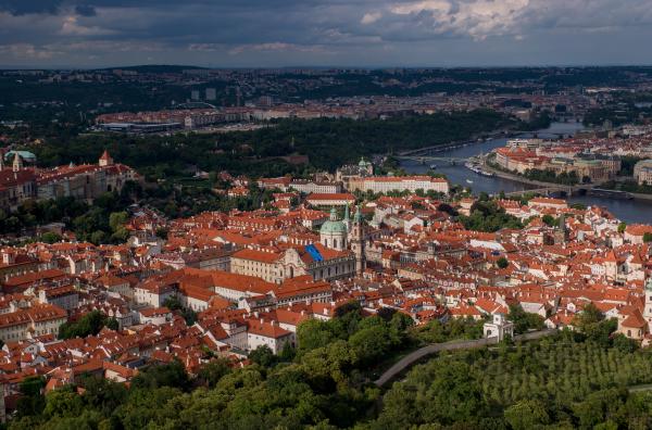 Author: Joao Delille