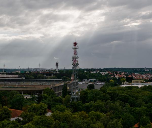 Author: Joao Delille