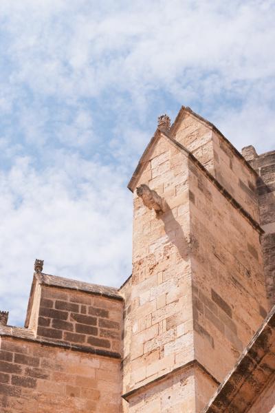 Author: Joao Delille