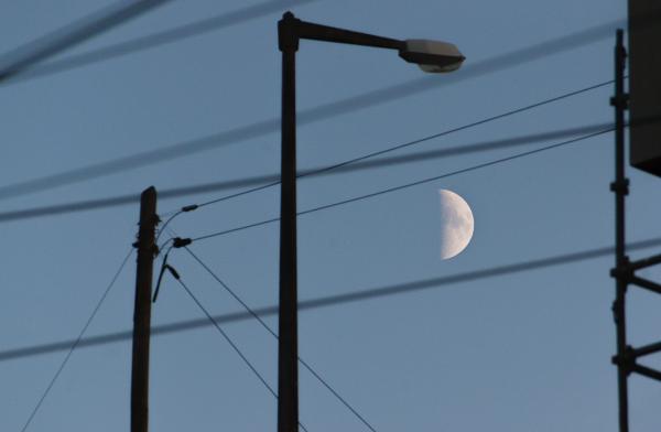 Author: Joao Delille